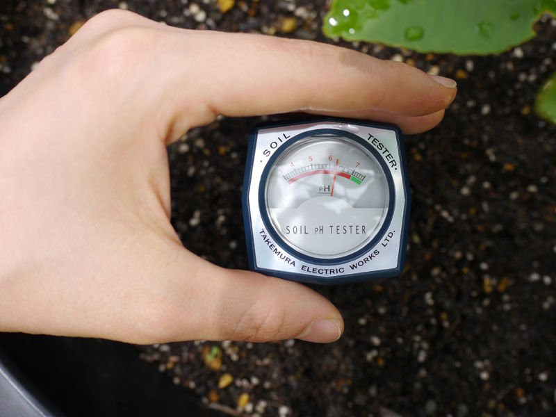 Ứng dụng máy đo độ ẩm đất trong nông nghiệp