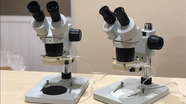 Các bước sử dụng kính hiển vi soi nổi