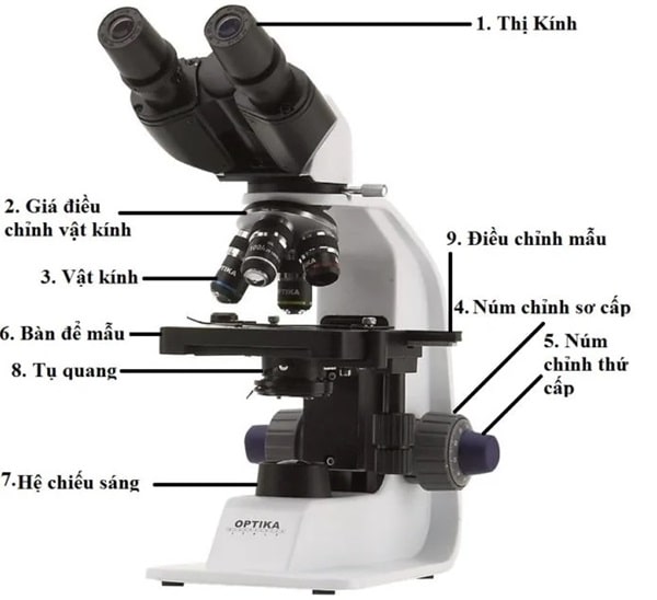 Cấu tạo của kính hiển vi nguồn sáng truyền qua