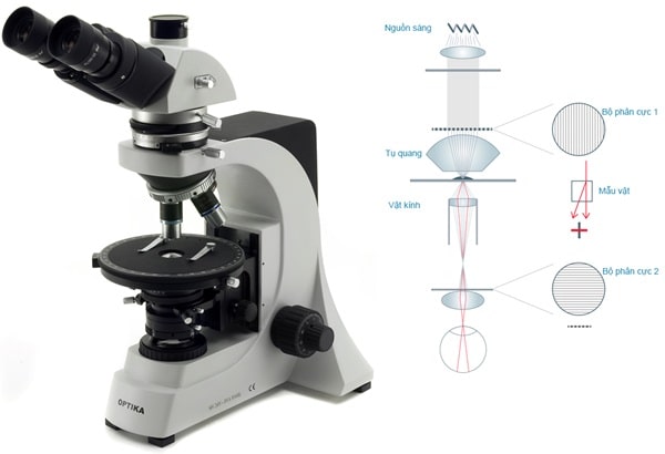 Hình ảnh và sơ đồ nguyên lý làm việc của kính hiển vi phân cực