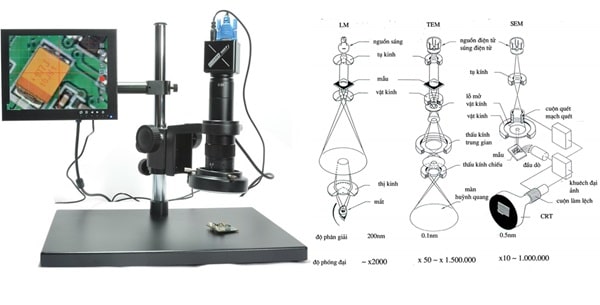 Hình ảnh và sơ đồ cấu tạo kính hiển vi điện tử