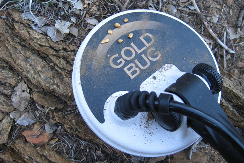 Đĩa dò của máy Gold Bug Fisher-USA 