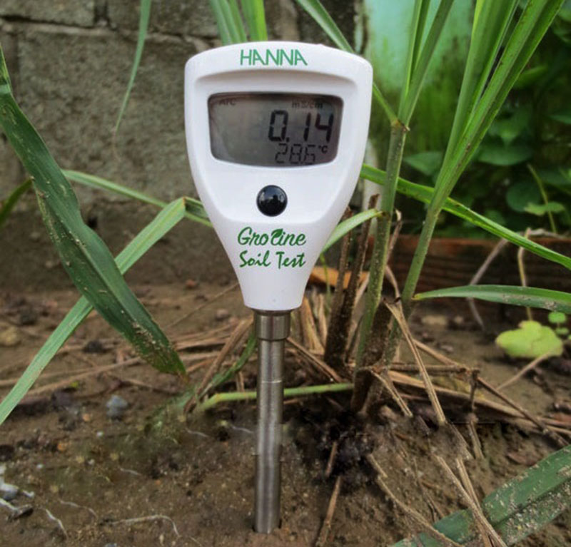Máy đo EC hỗ trợ đánh giá quá trình phát triển của cây trồng