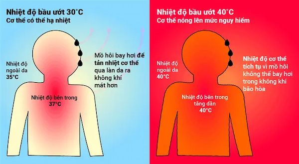 Nhiệt độ bầu ướt