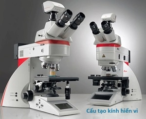 Cấu tạo kính hiển vi quang học, điện tử chi tiết