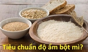 Độ ẩm bột mì bao nhiêu là tốt? Giải pháp bảo quản kho bột đạt chuẩn